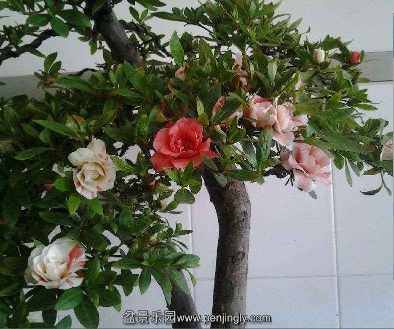 QQͼƬ20140429094413.jpg