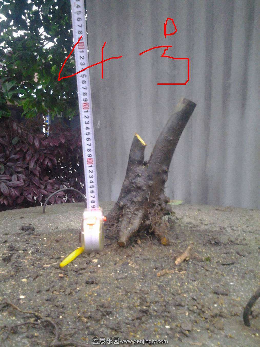 20140429_185747.jpg