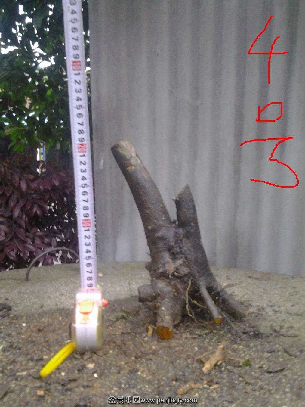 20140429_185754.jpg