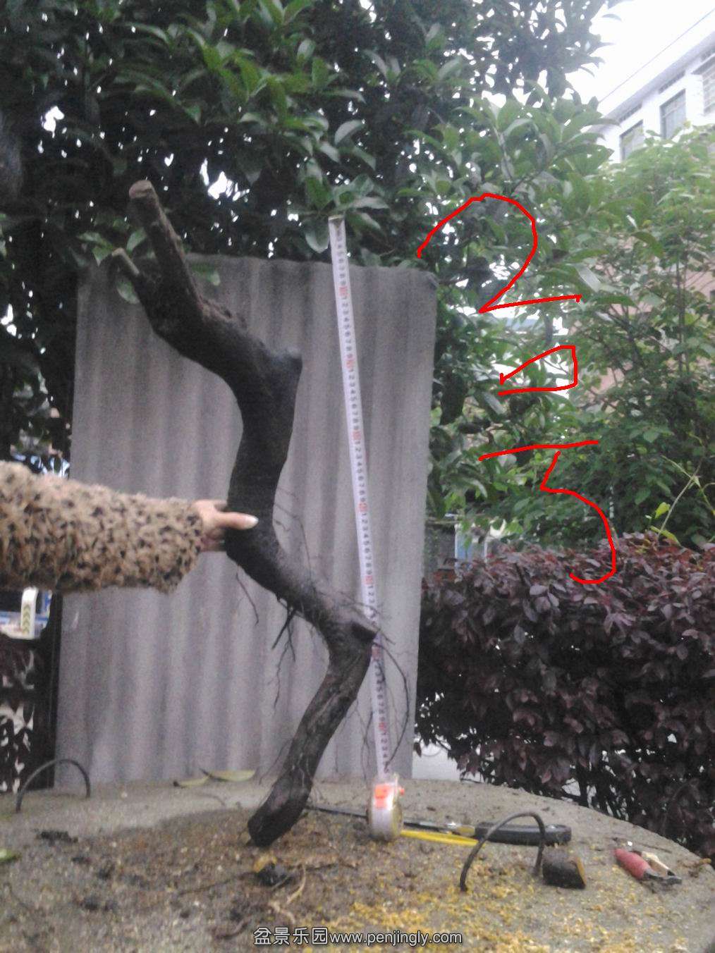 20140429_190401.jpg