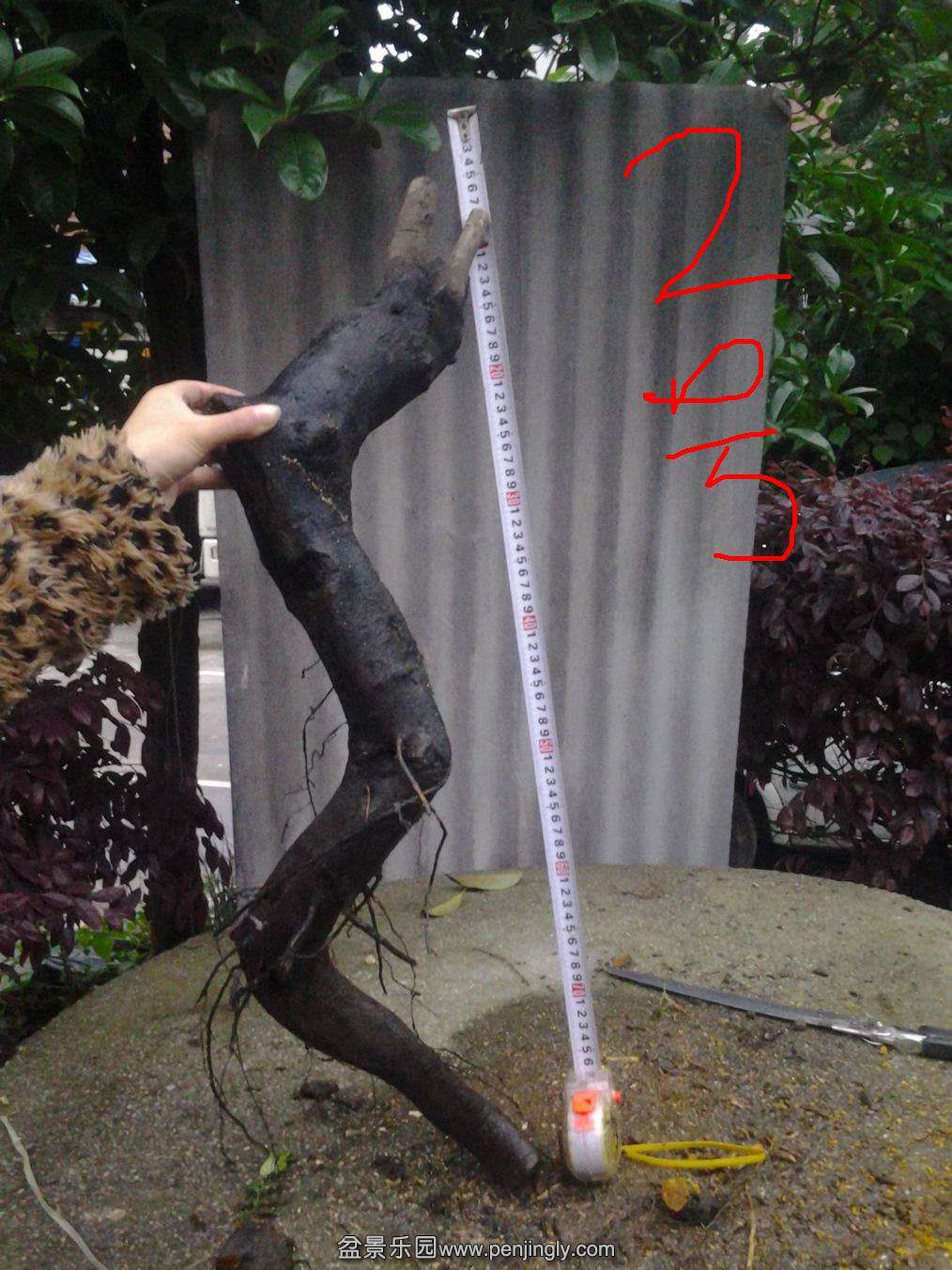 20140429_190426.jpg