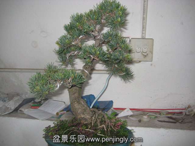 Ƭ 050.jpg