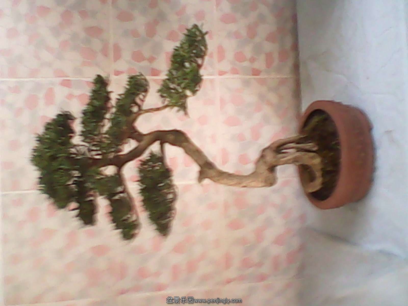 IMG_20140430_100657.jpg