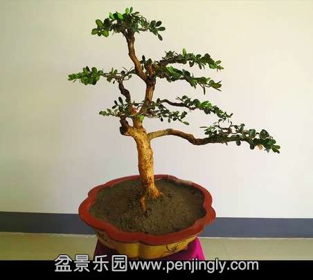 QQͼƬ20140430111703.jpg