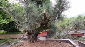 20140427_100436.jpg