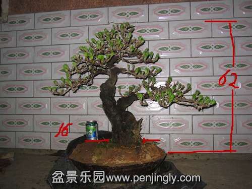 IMG_7313_.jpg