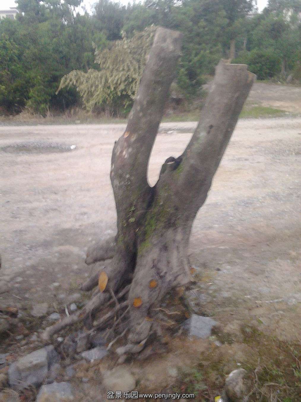 20140501_190924.jpg