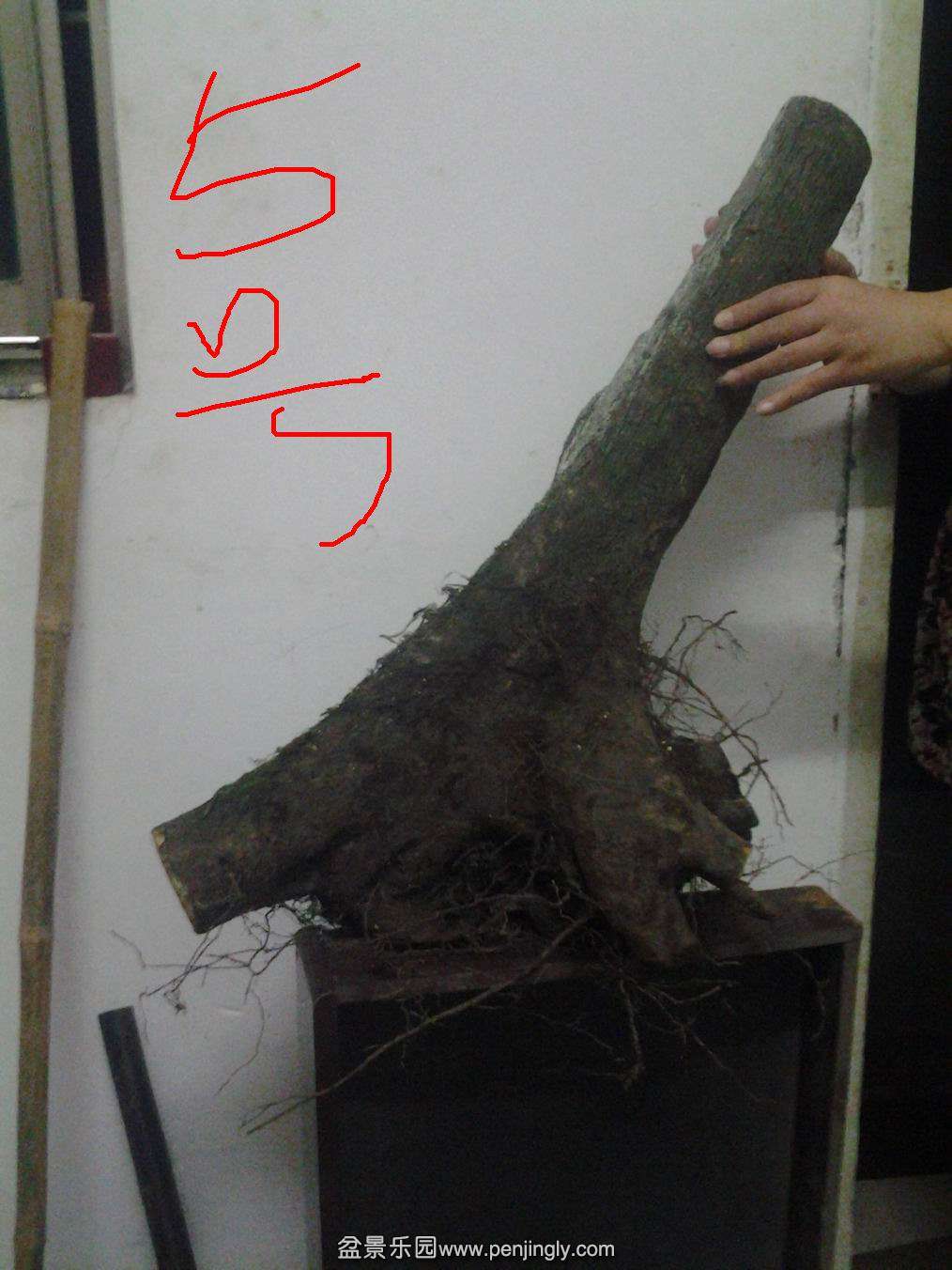 20140501_194416.jpg
