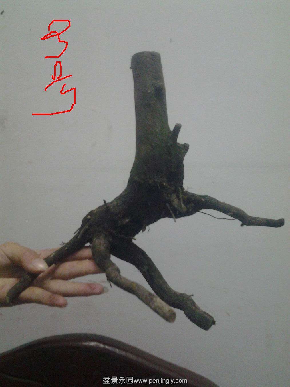 20140501_194850.jpg