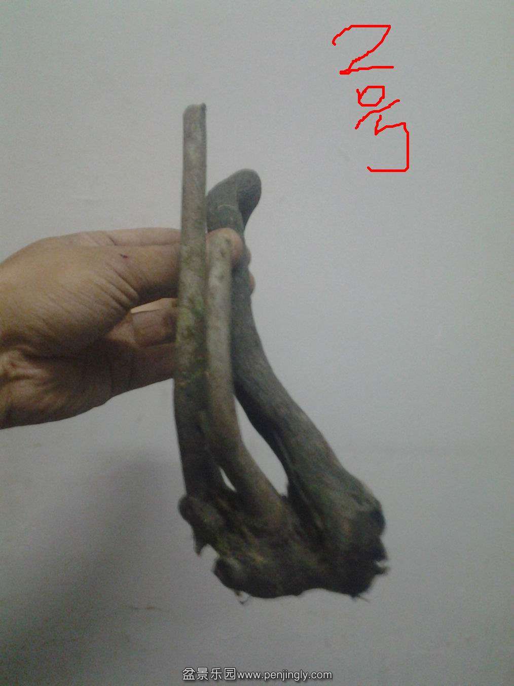20140501_195041.jpg