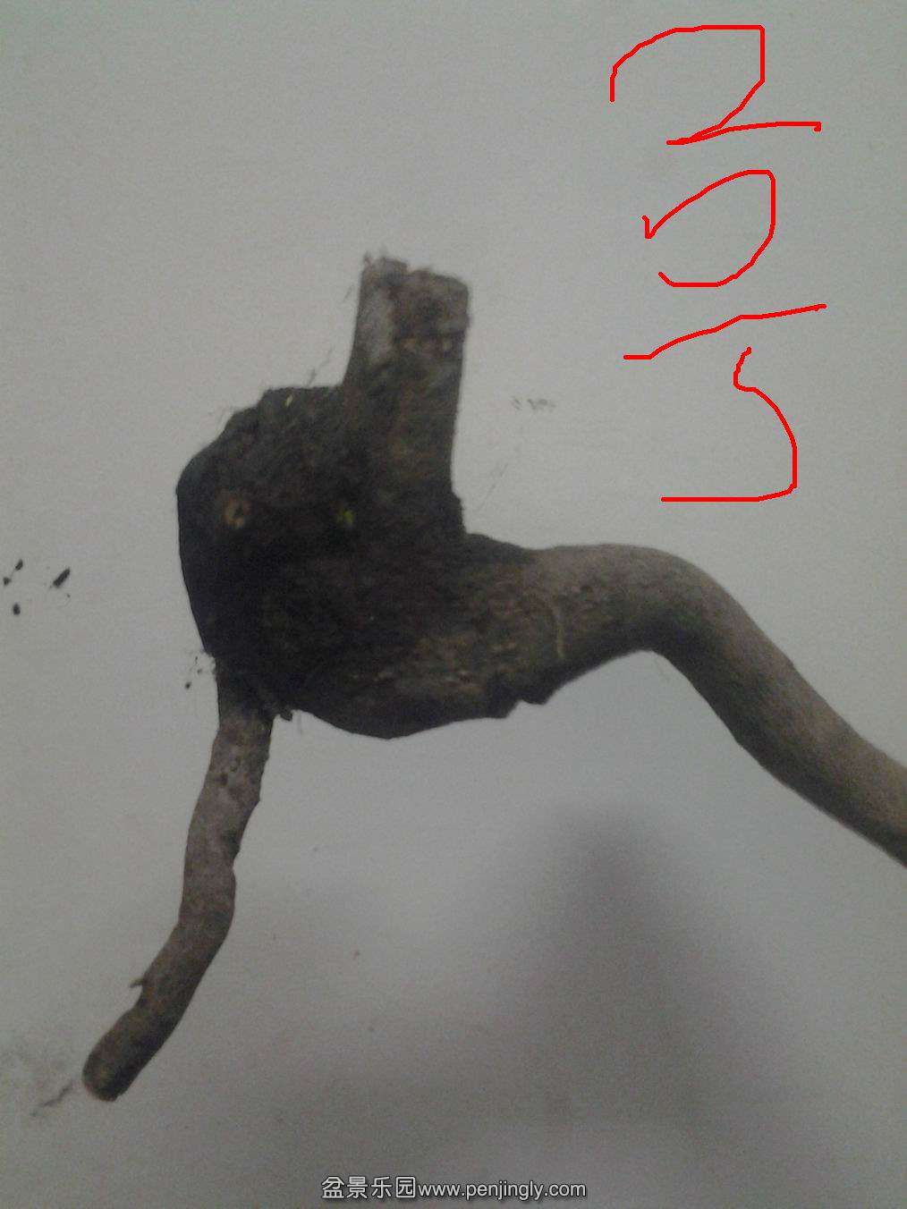 20140501_195258.jpg