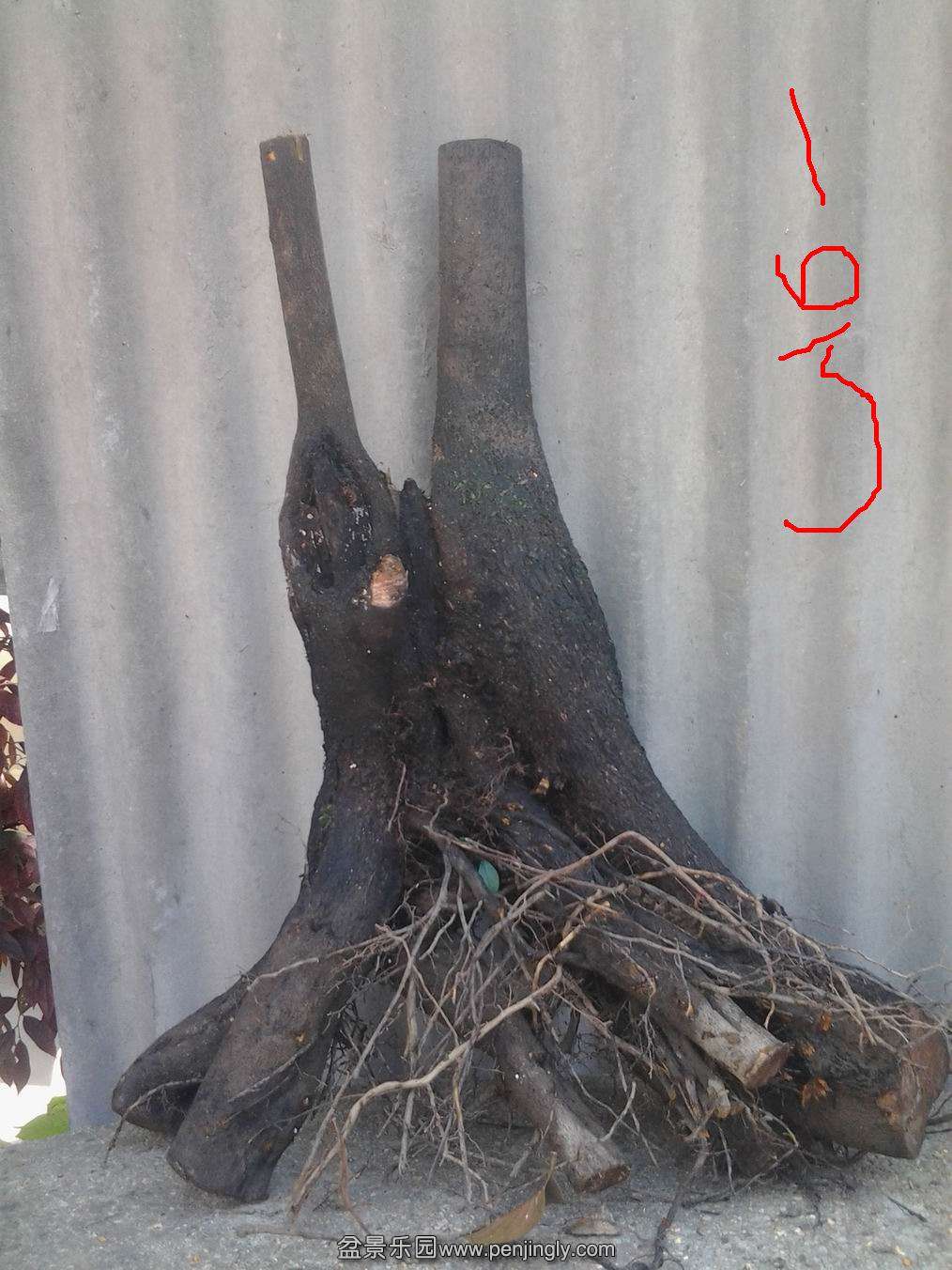 20140502_111335.jpg