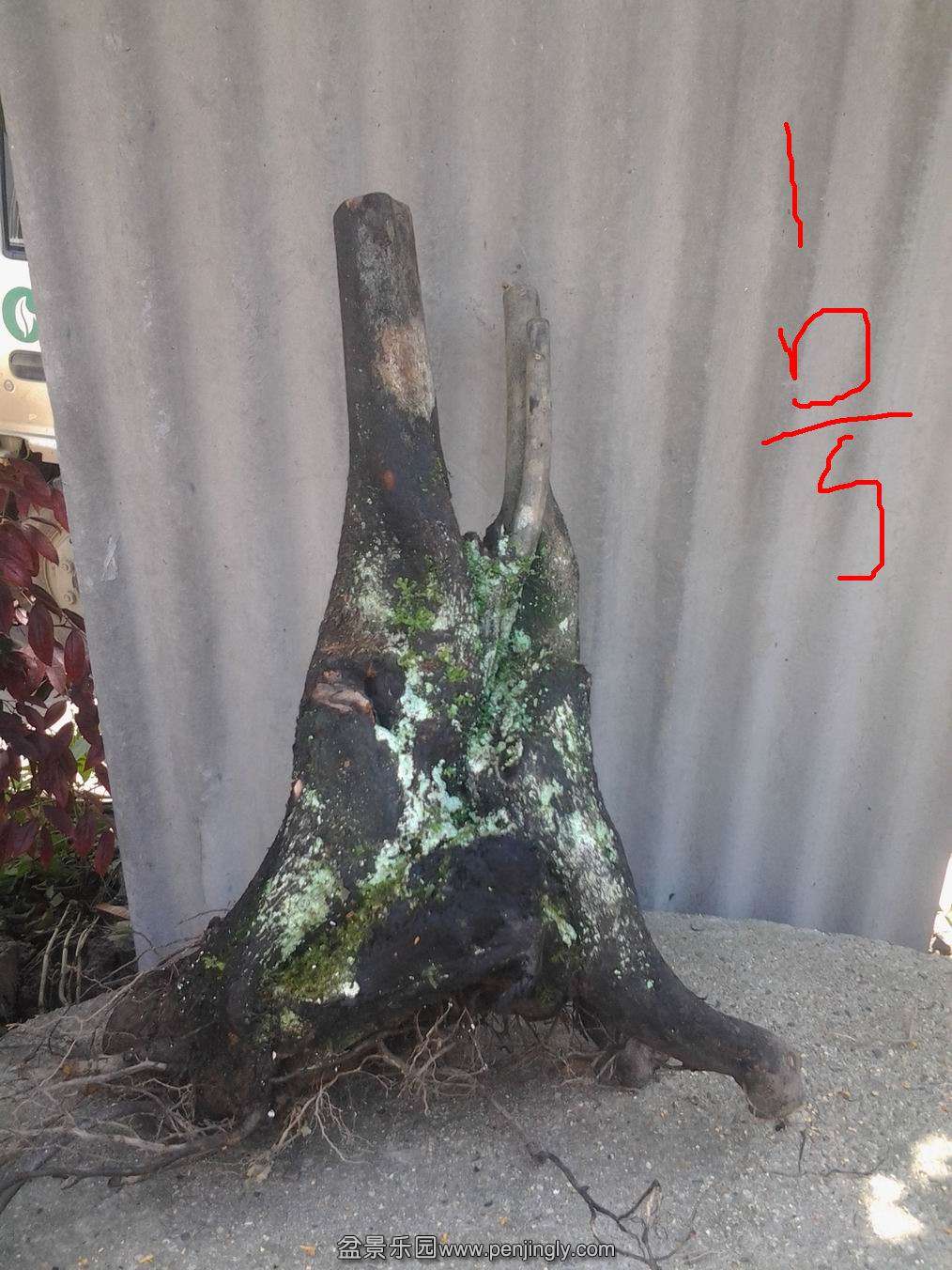 20140502_111354.jpg