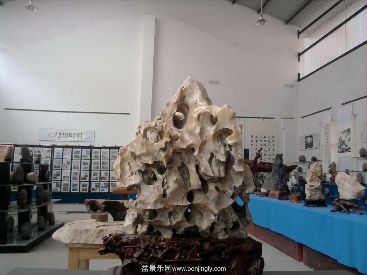 Ƭ1166.jpg