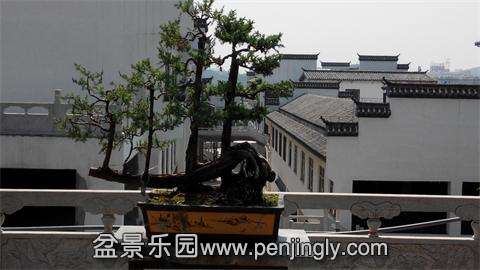 IMG_20140501_102251.jpg