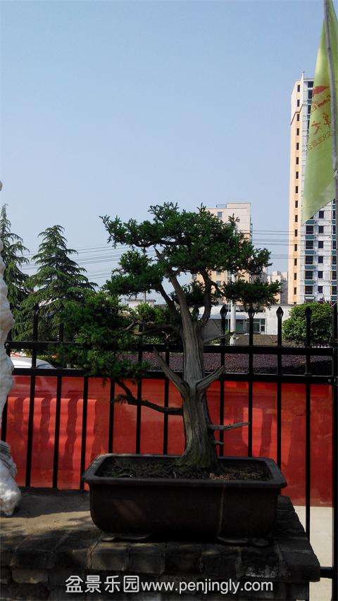 IMG_20140501_090443.jpg