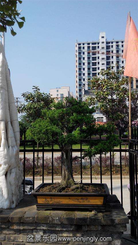 IMG_20140501_090314.jpg