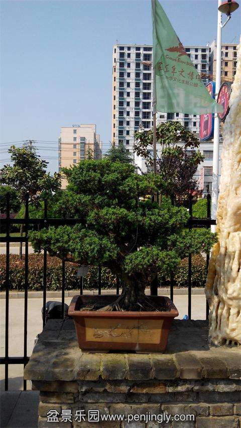 IMG_20140501_090355.jpg