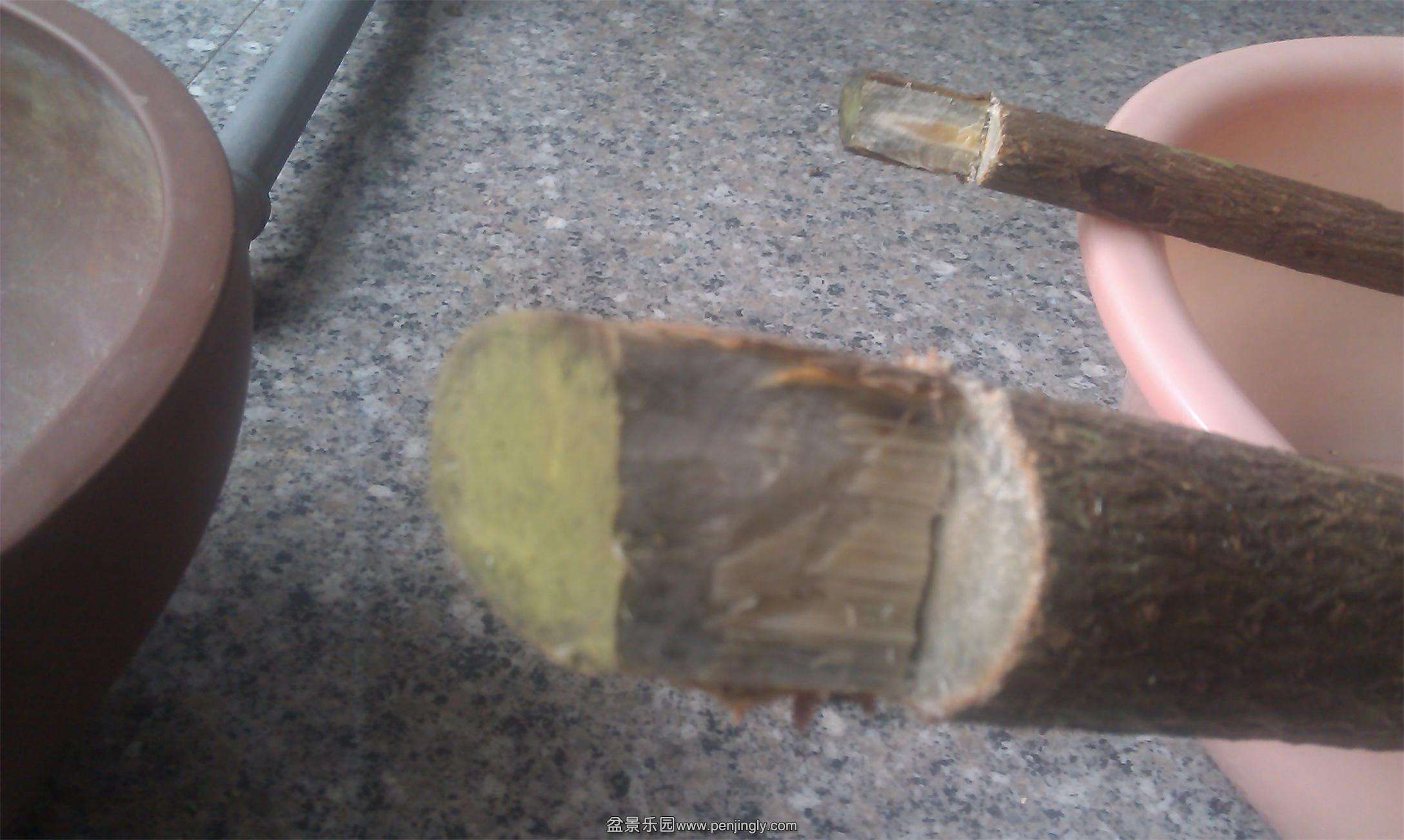 IMAG0397.jpg