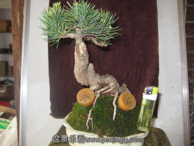 Ƭ 031.jpg