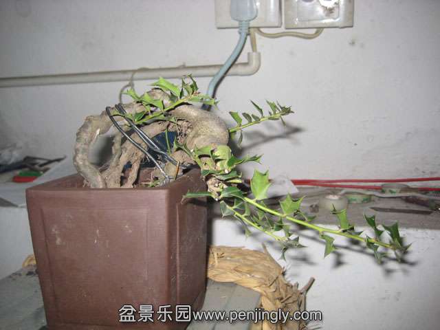 Ƭ 049.jpg