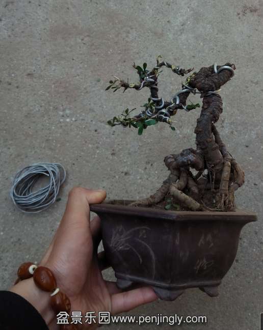 QQͼ20140505094634.jpg