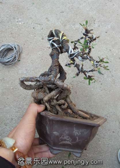 QQͼ20140505094559.jpg