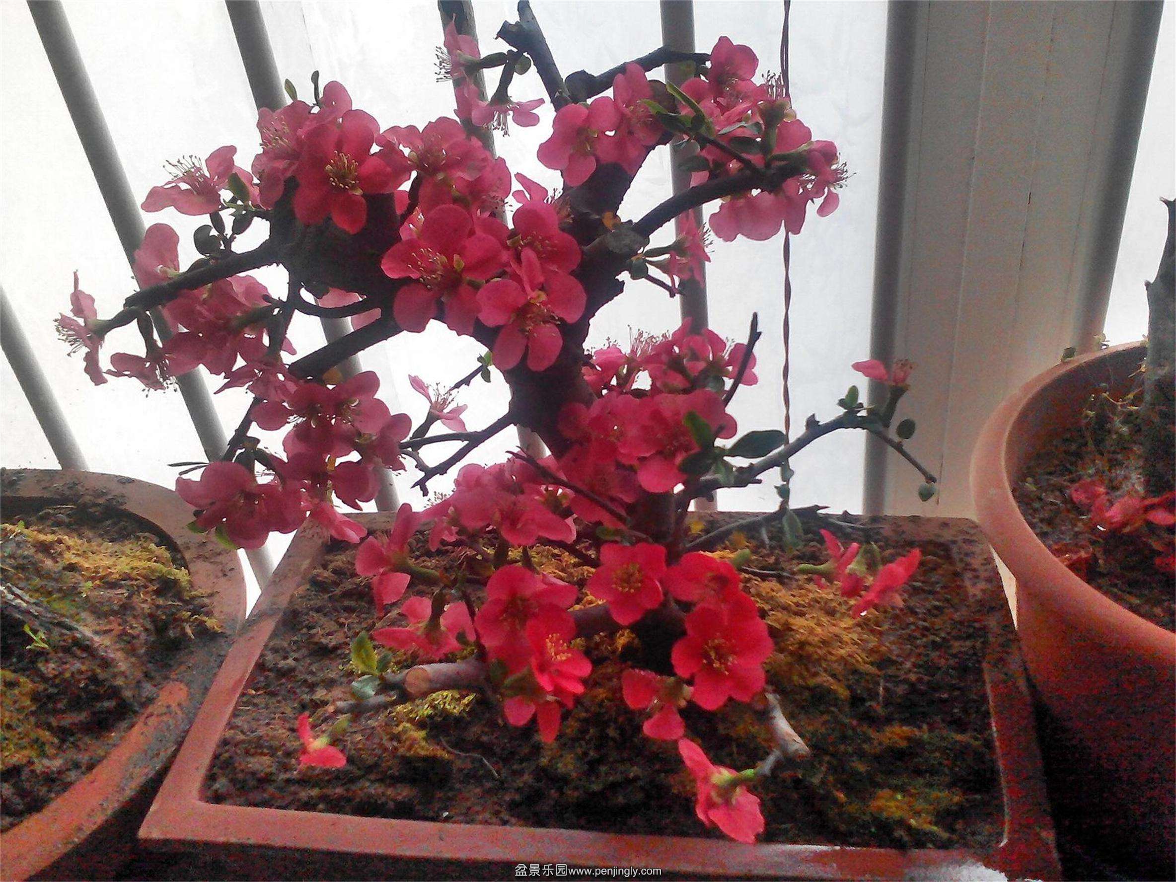 C360_2014-02-14-16-29-45-504.jpg