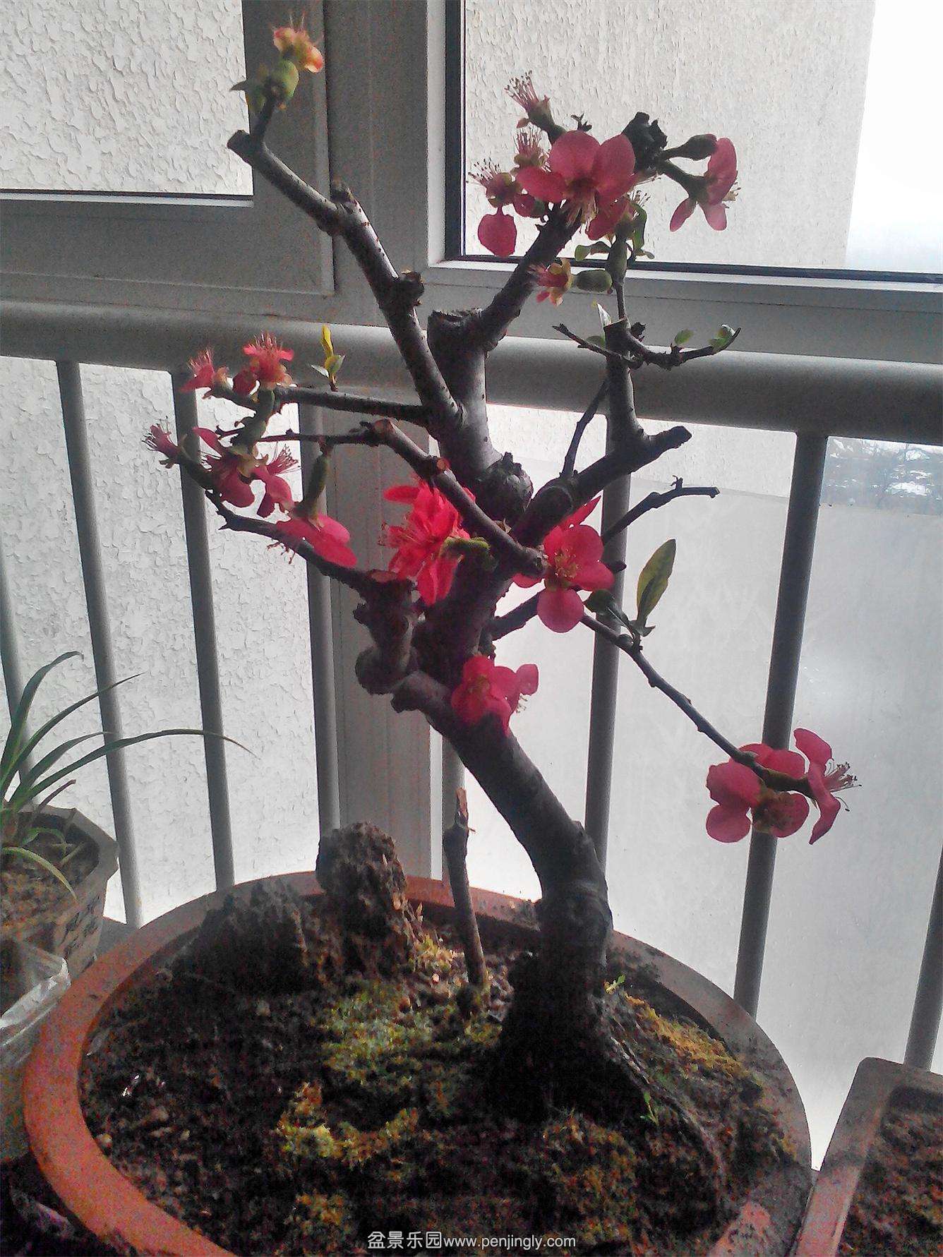 C360_2014-02-14-16-29-55-562.jpg
