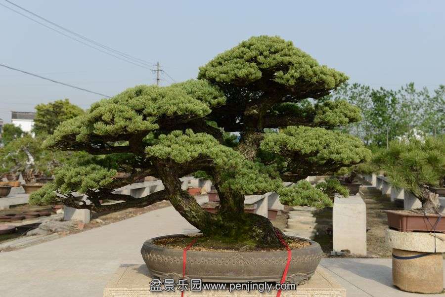 ҵ辰 394.jpg