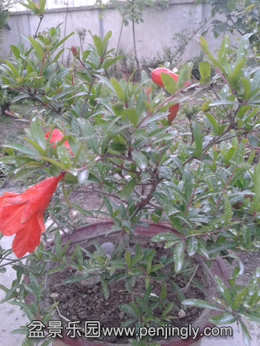 20140506_184535.jpg
