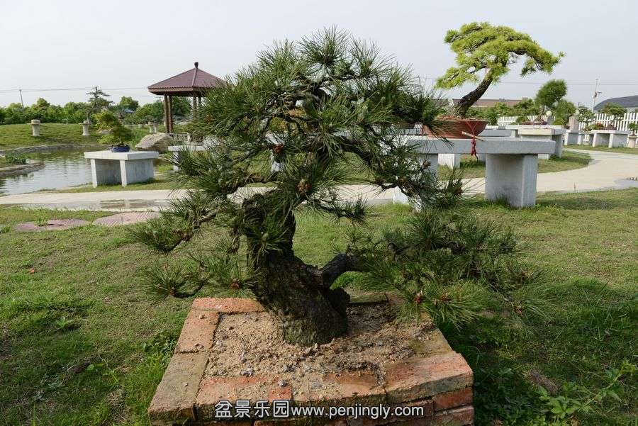 ҵ辰 420.jpg