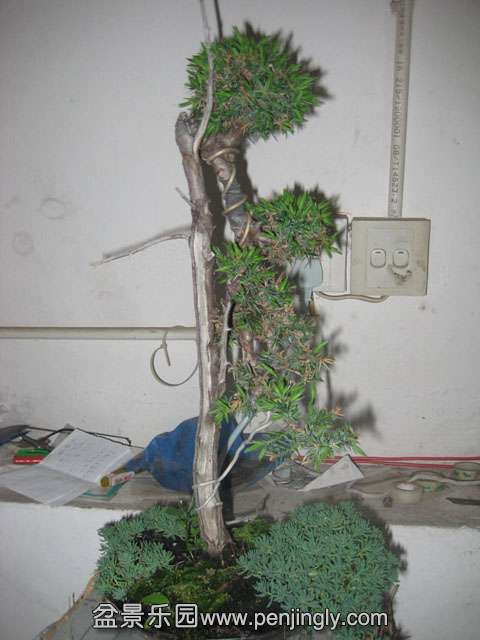 Ƭ 062.jpg