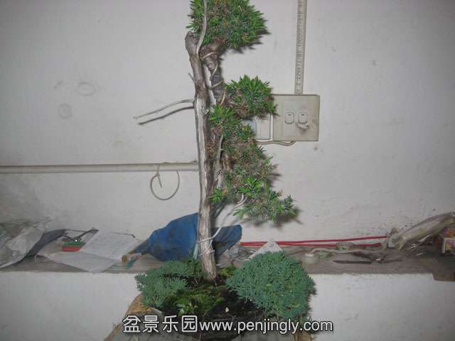 Ƭ 063.jpg