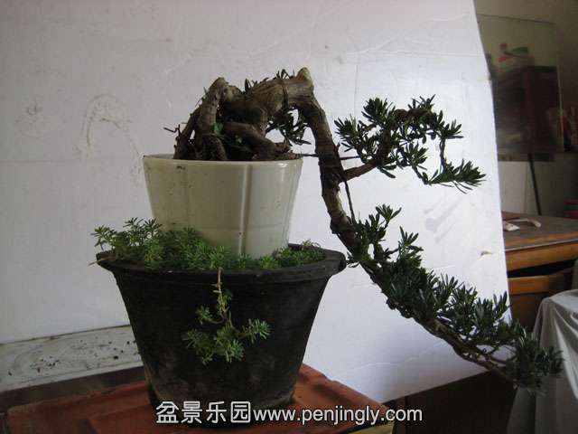 Ƭ 011.jpg