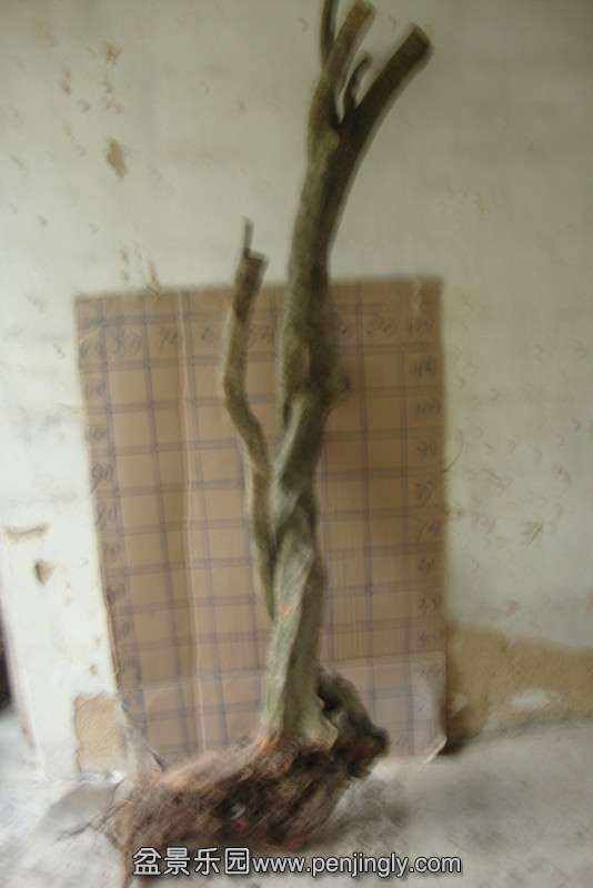 DSC02407_.jpg