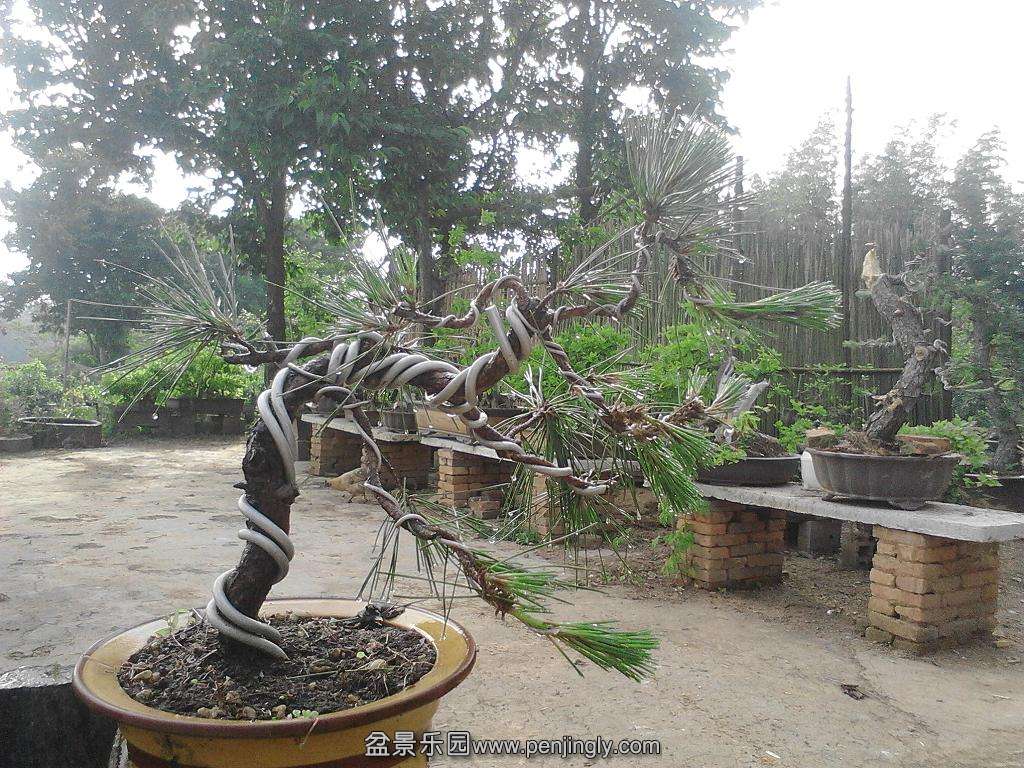 IMG20140507170141.jpg