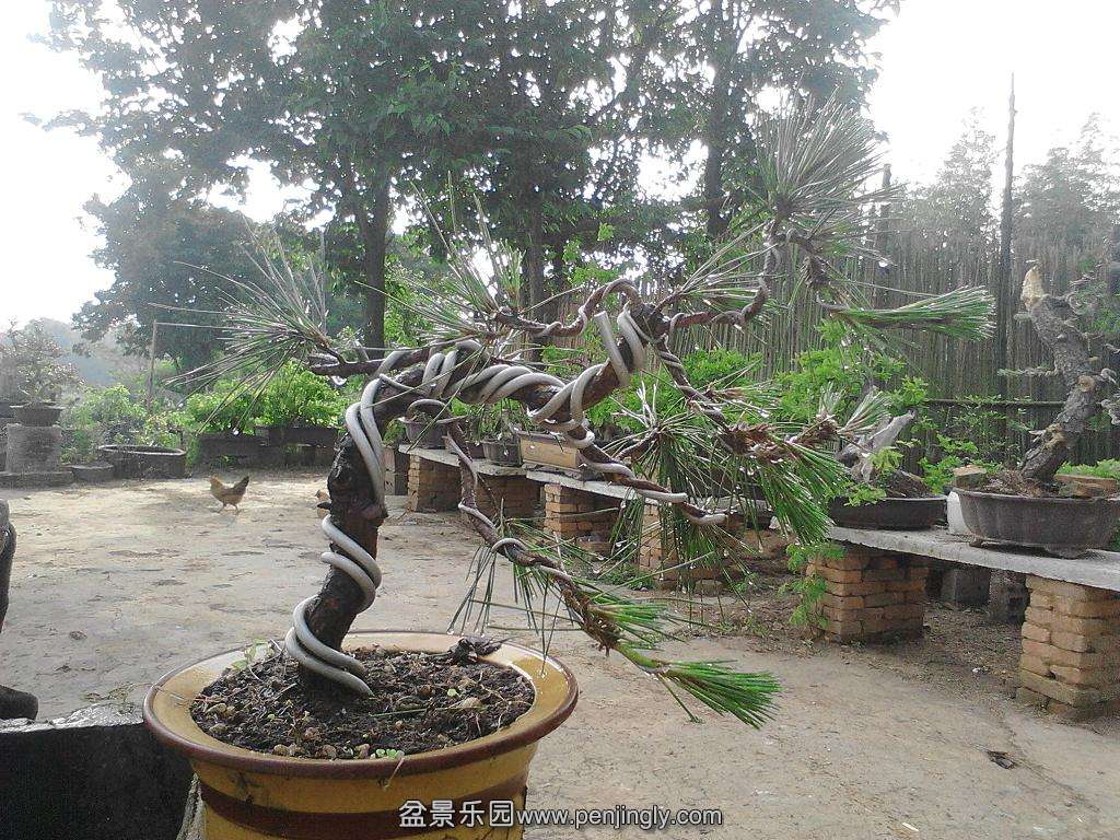 IMG20140507170144.jpg