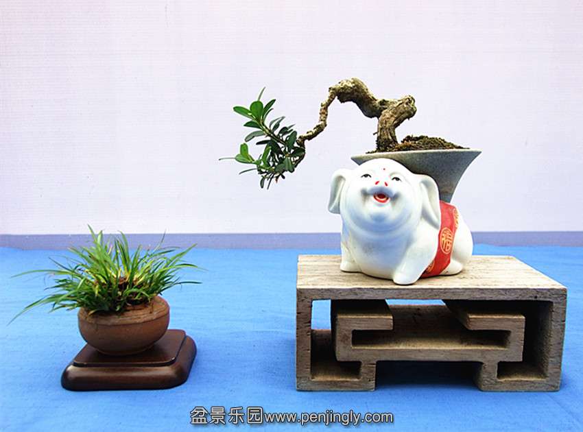 DSCF4840_.jpg