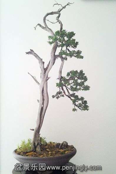 20140507_132431.jpg