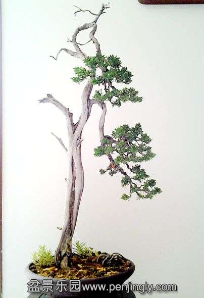 20140507_132445.jpg