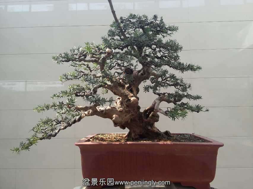 psb (9).jpg