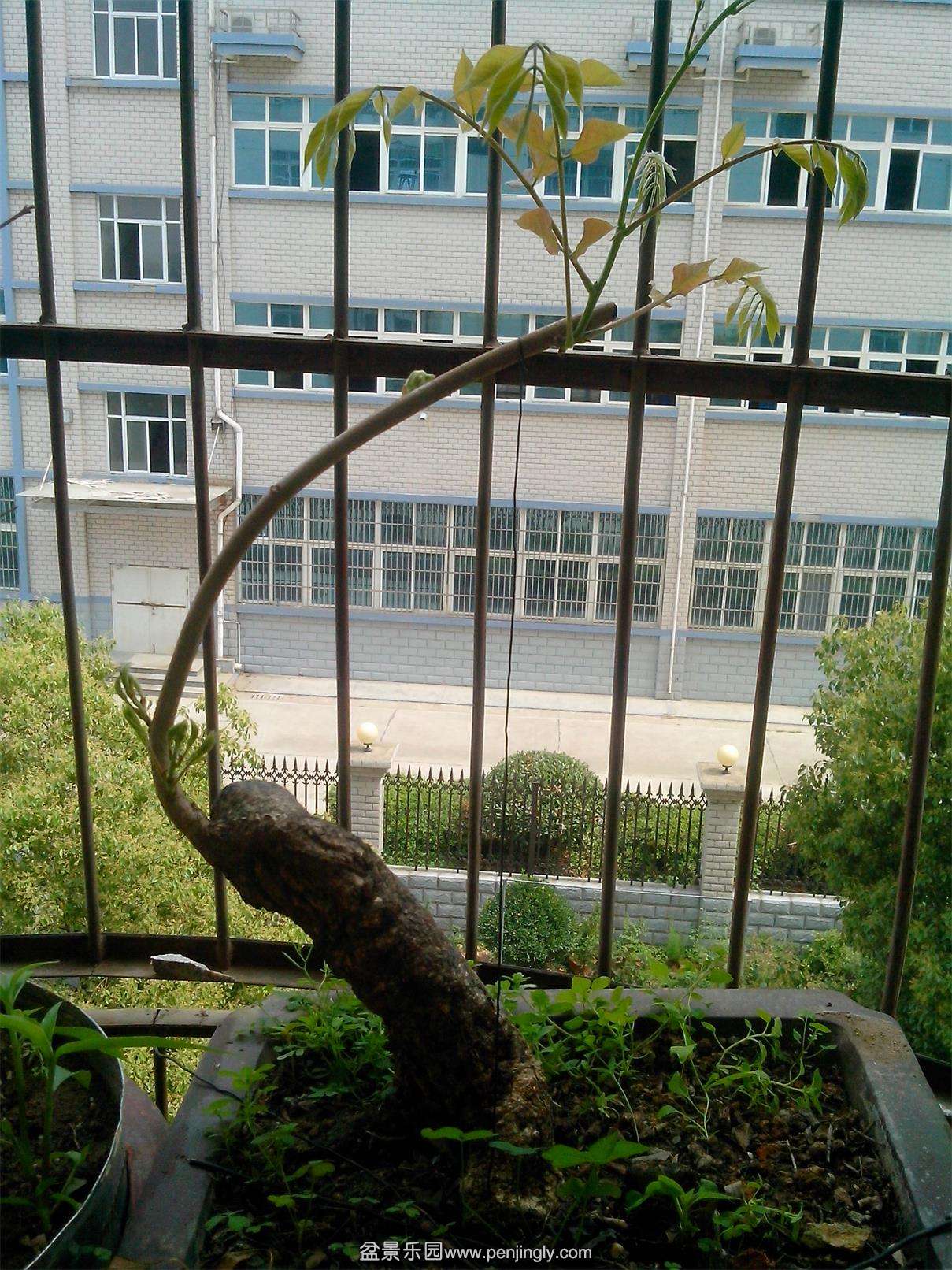 IMG20140508001.jpg