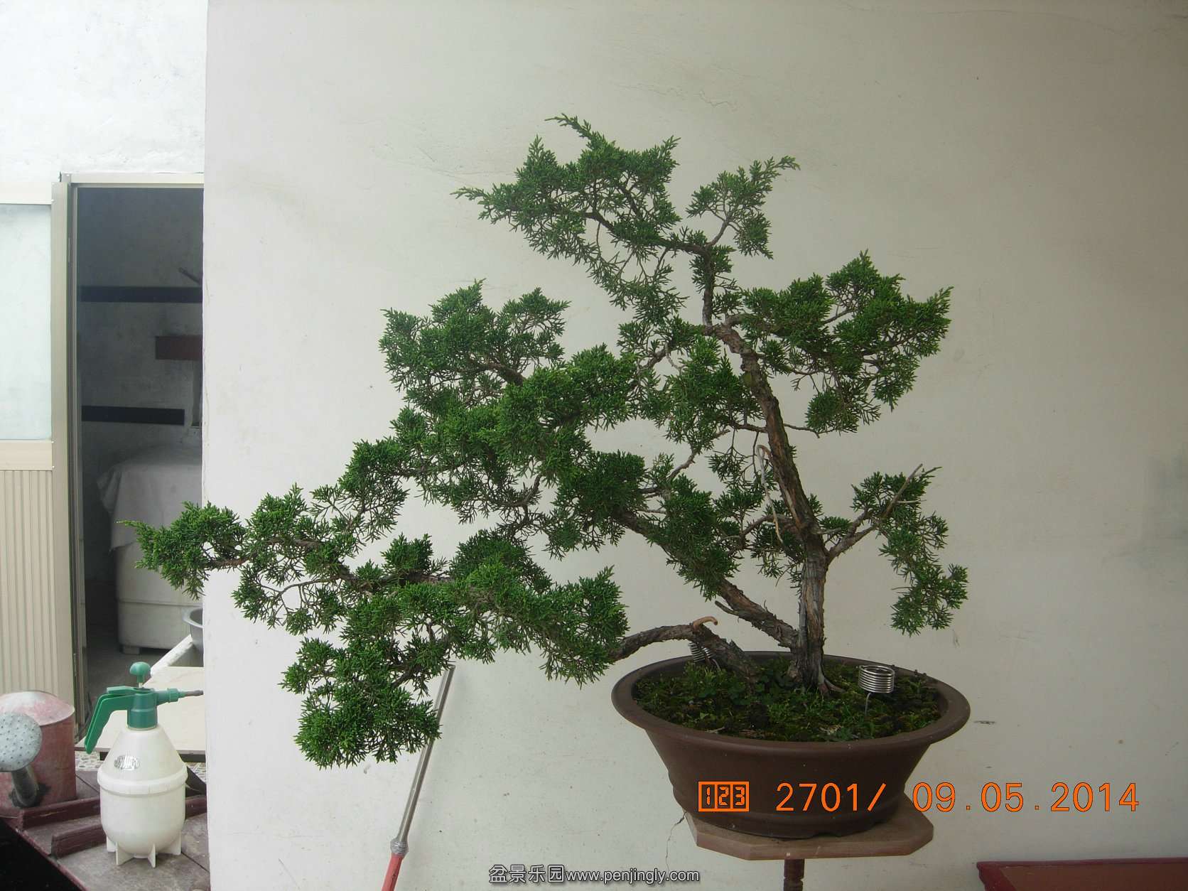 DSCN7414.JPG