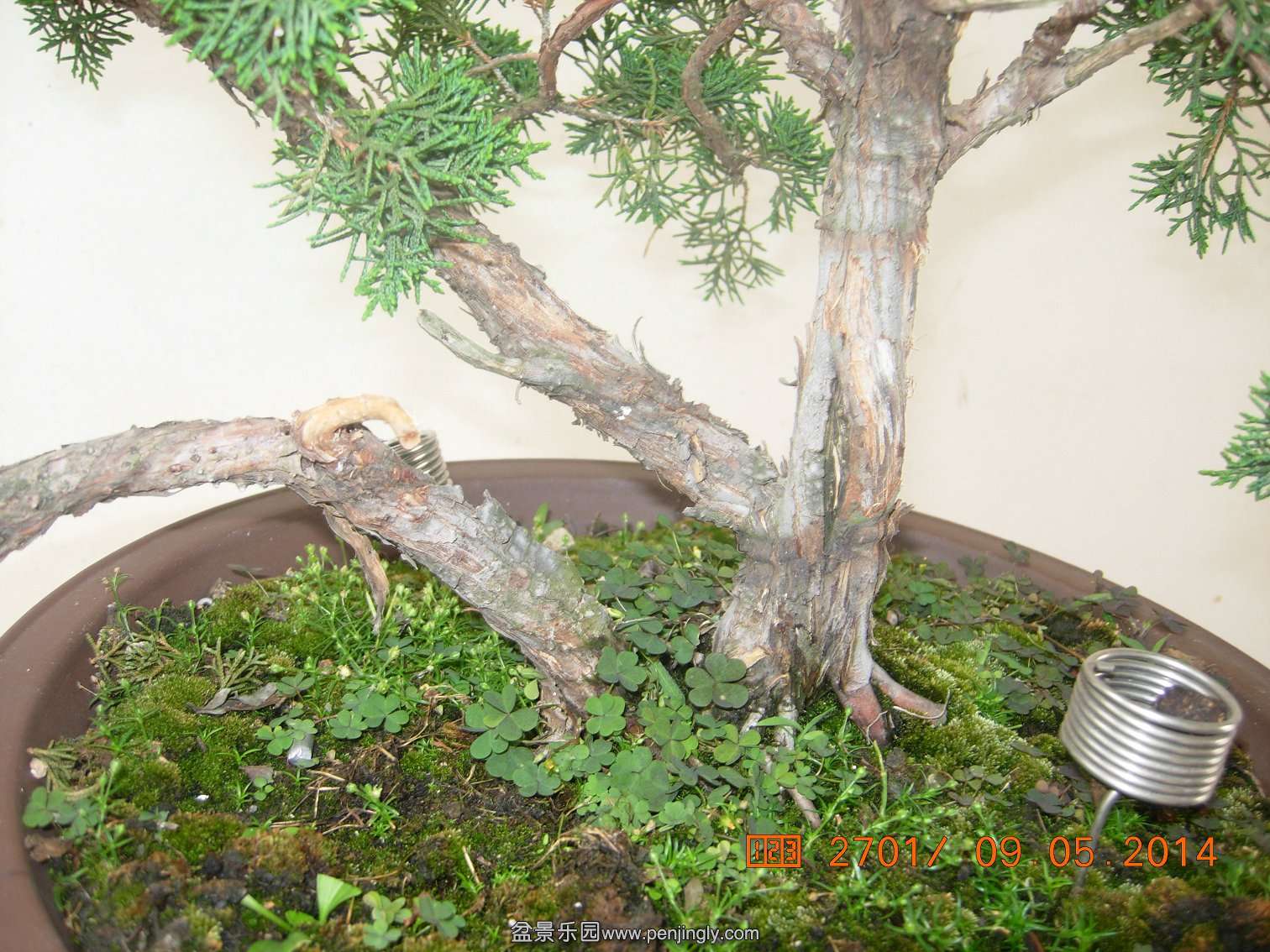 DSCN7415.JPG
