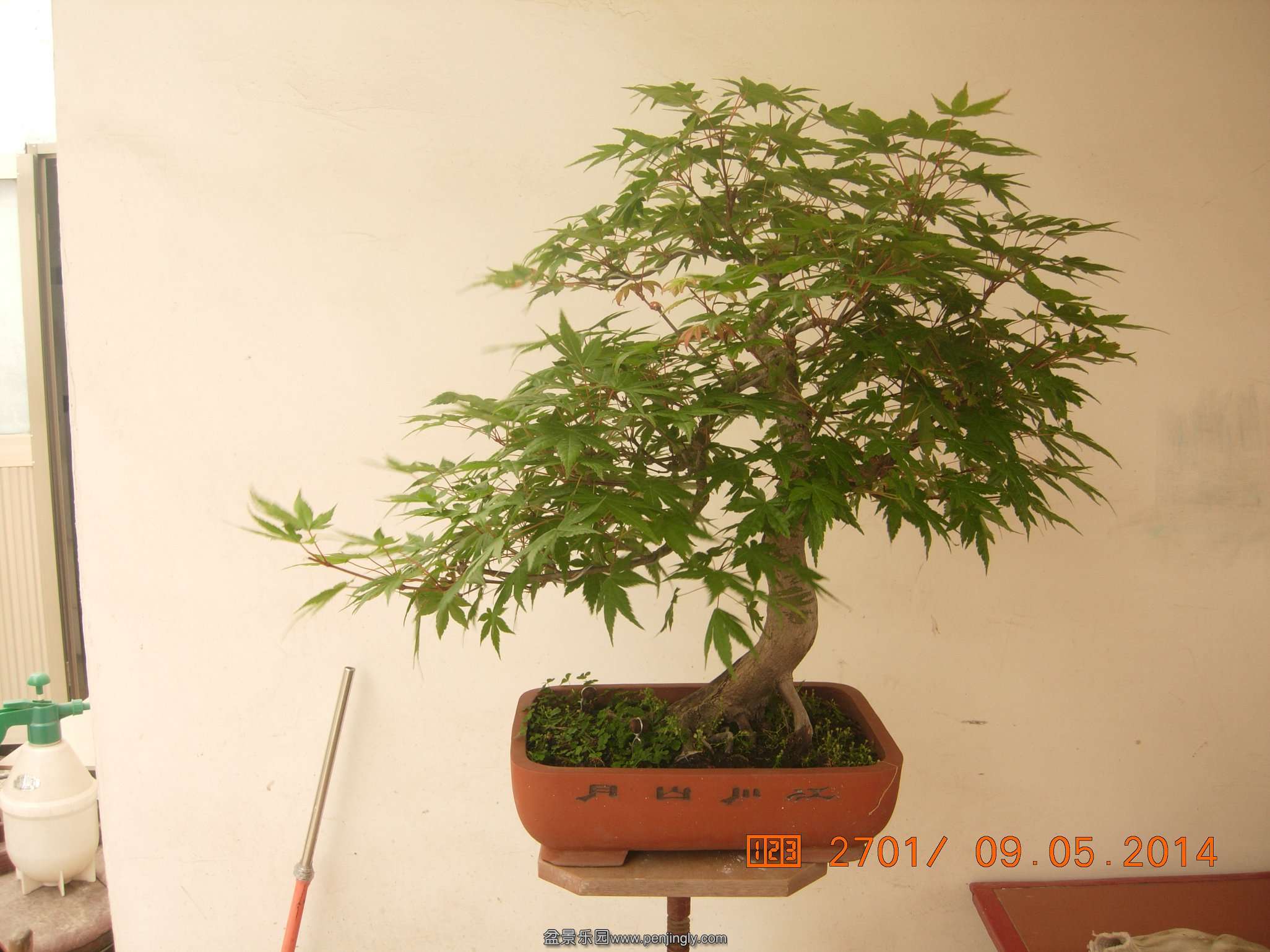 DSCN7406.JPG