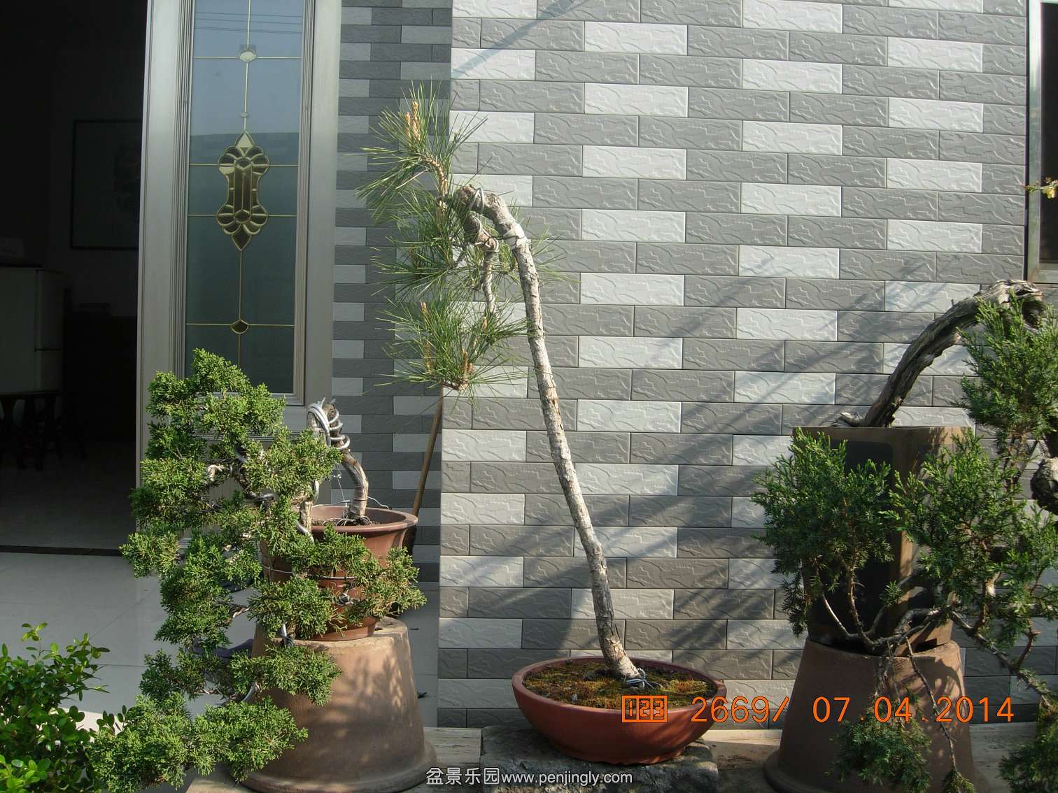 DSCN7320.JPG