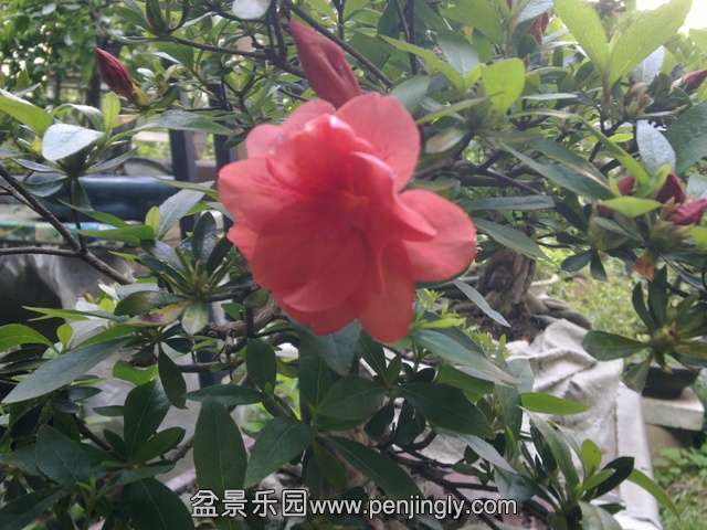 201405122729.jpg