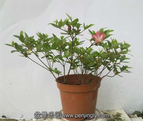 201405122730.jpg