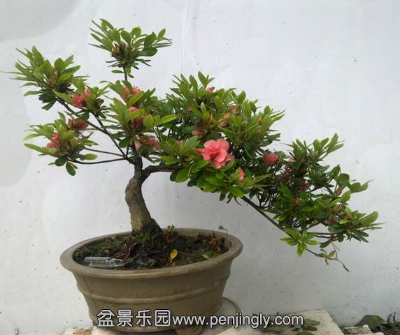 201405122735.jpg